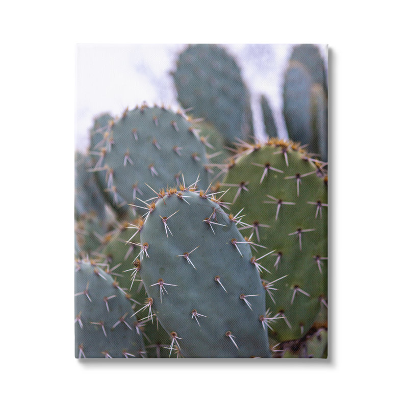 «Prickly Cactus Thorns» par Jeff Poe, reproduction d'art sur toile tendue, H 40 po x l 30 po x P 1,5 po