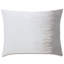 Amara Hand Painted Ombre Right Sham-40913491