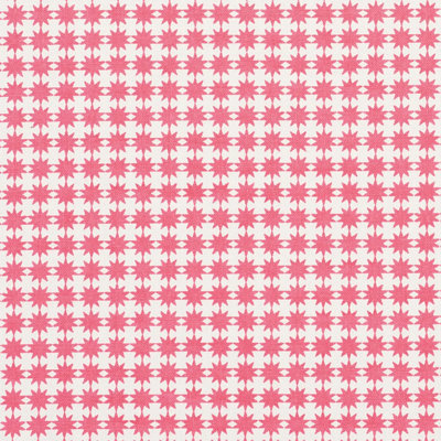 Tissu Schumacher x Studio Bon Stella