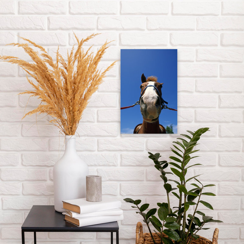 Low-Angle View Of Horse Wearing Bridle 1 Piece Wrapped Canvas Wall Art, 18" H x 12" W