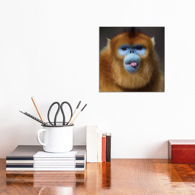 Golden Snub Nosed Monkey Cheeky by Mogens Trolle - Wrapped Canvas Print, 30.48 cm H x 30.48 cm W