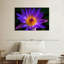 Harnek Hawaiian Water Lily-107668842