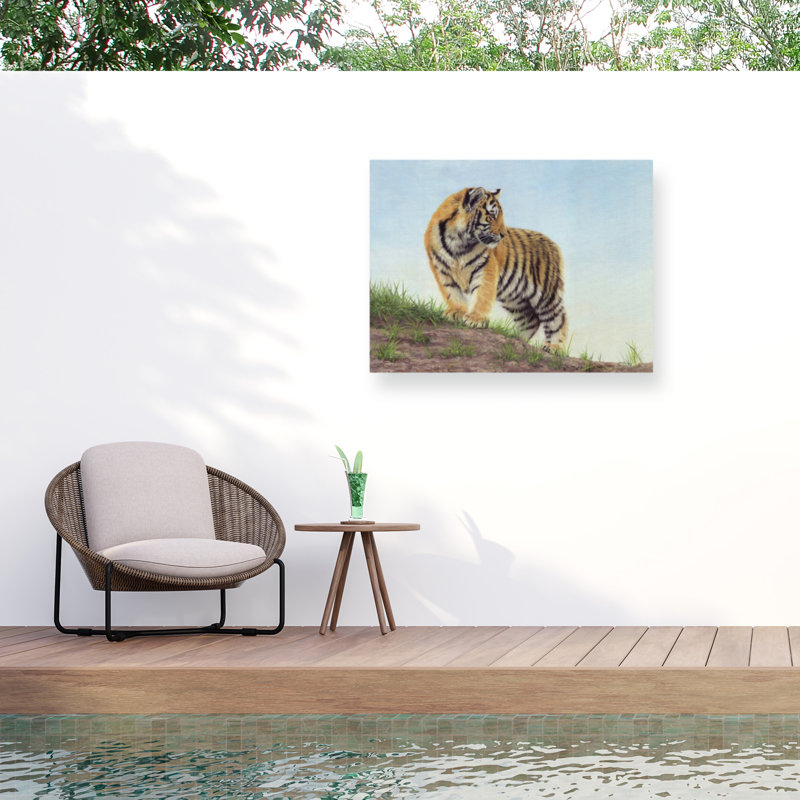 Toile d'extérieur David Stribble Young Tiger 10, H 14 po x l 19 po