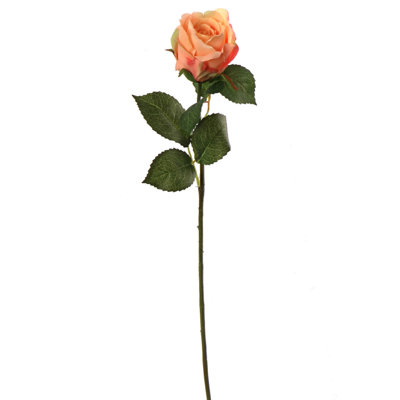 Tige de roses Quinones