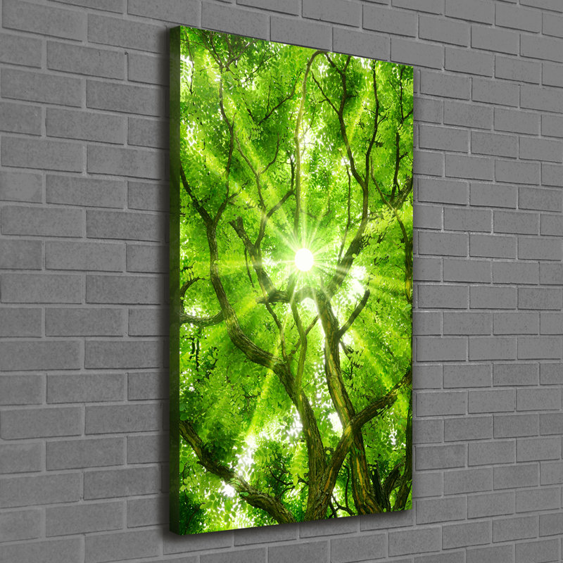 Crown Of Trees - Wrapped Canvas Print, 120cm H x 60cm W