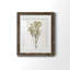 Farmhouse Pressed Flower II - peinture encadrée-1572627890-1572627903