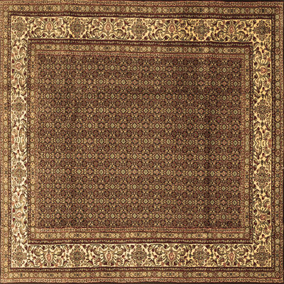 Liuba Performance Oriental Indoor Rug