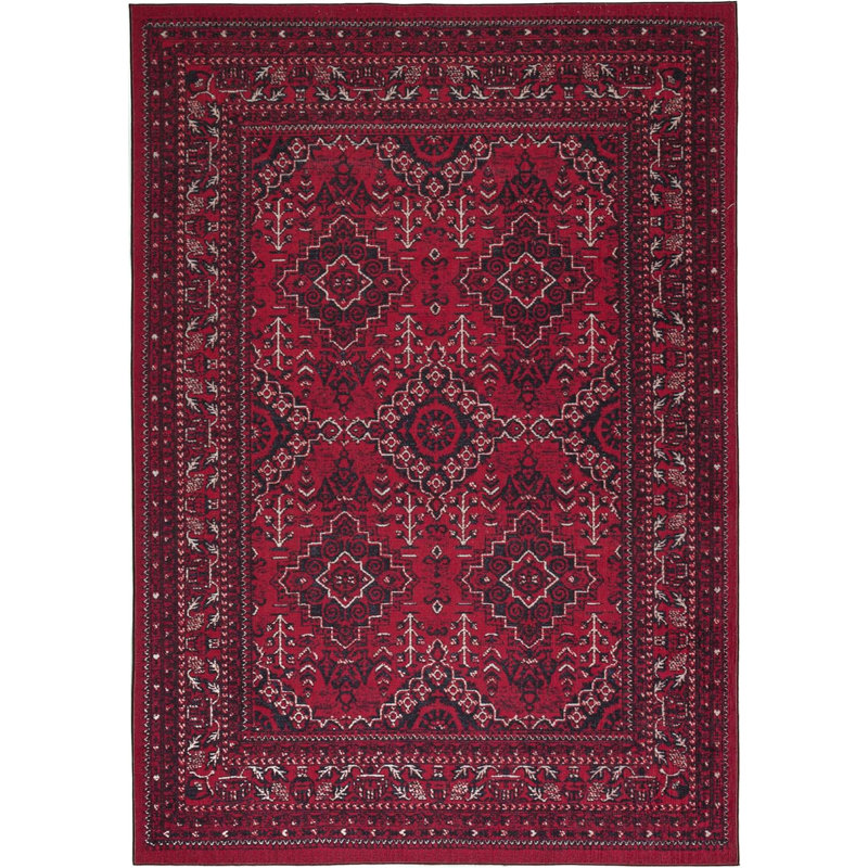 Sroda Washable Oriental Indoor Rug, Rectangle 5'4'' x 8'