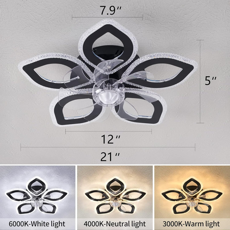 Ceiling Fan With Lighting
