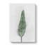 Green Leaf In Abstract - Wrapped Canvas-55309563