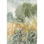 Forest Plant I Print by Sara Brown-26774677-26774681