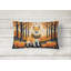Coussin décoratif Shiba Inu