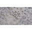 Tapis oriental bleu / gris-1071602851