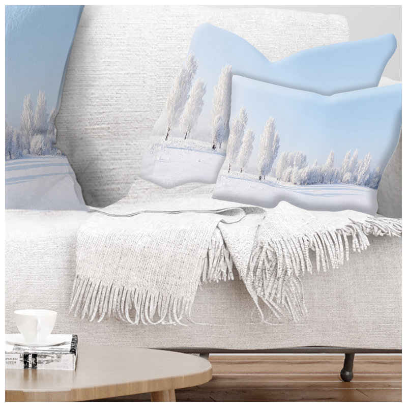 Coussin lombaire couvert de givre