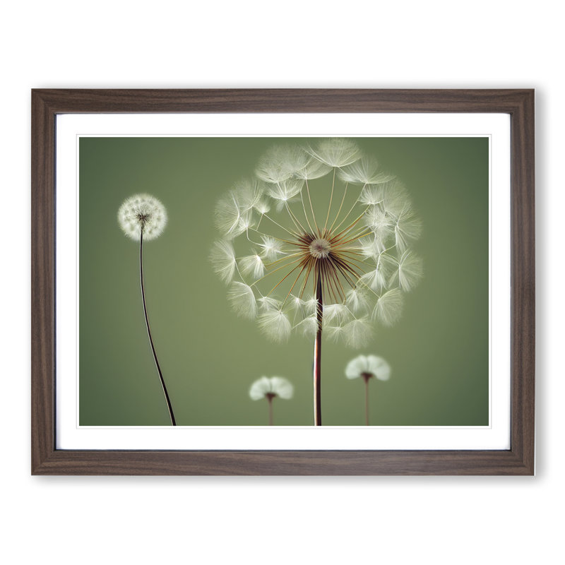 XH1022-9684X Vivacious Dandelion Flowers 1 Piece Single Picture Frame Wall Art, 34cm H x 46cm W, Walnut