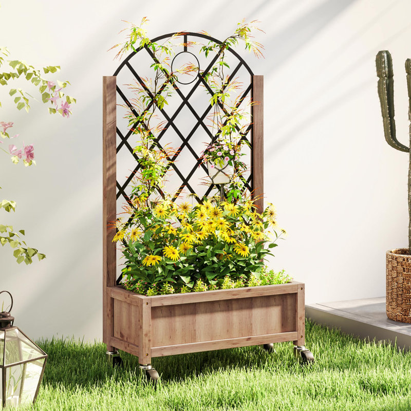 Raised Garden Bed, 1