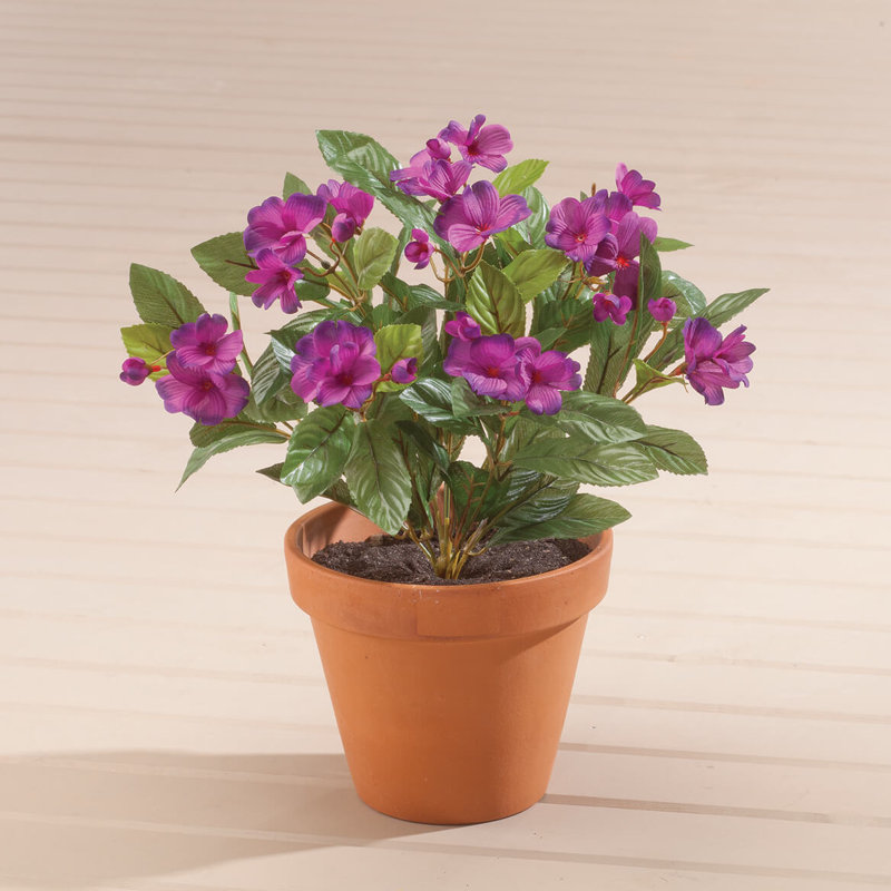 OakRidge Impatiens Bush, Mauve