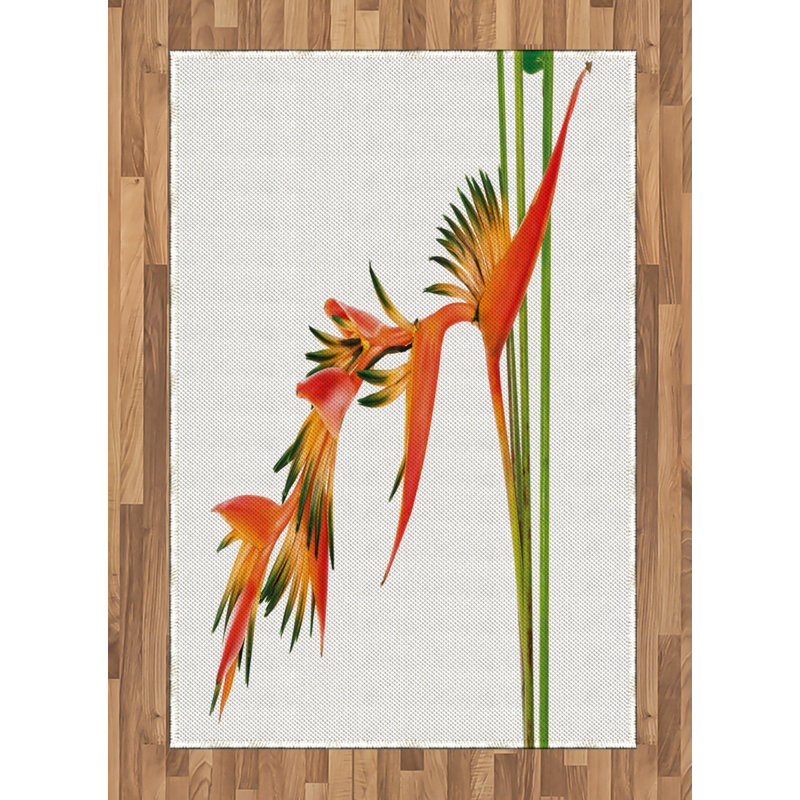 Floral High Density Long Fiber Poly Threads Decorative Area Rug Carpet, Rectangle 4' x 5'8"