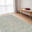 Tapis abstrait délavé beige et vert 5 pi x 8 pi