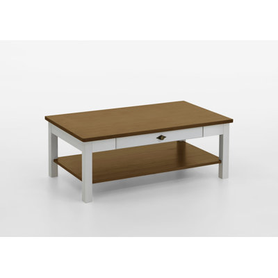 Hojanovice Coffee Table with Storage