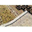 Regis Oriental Area Rug