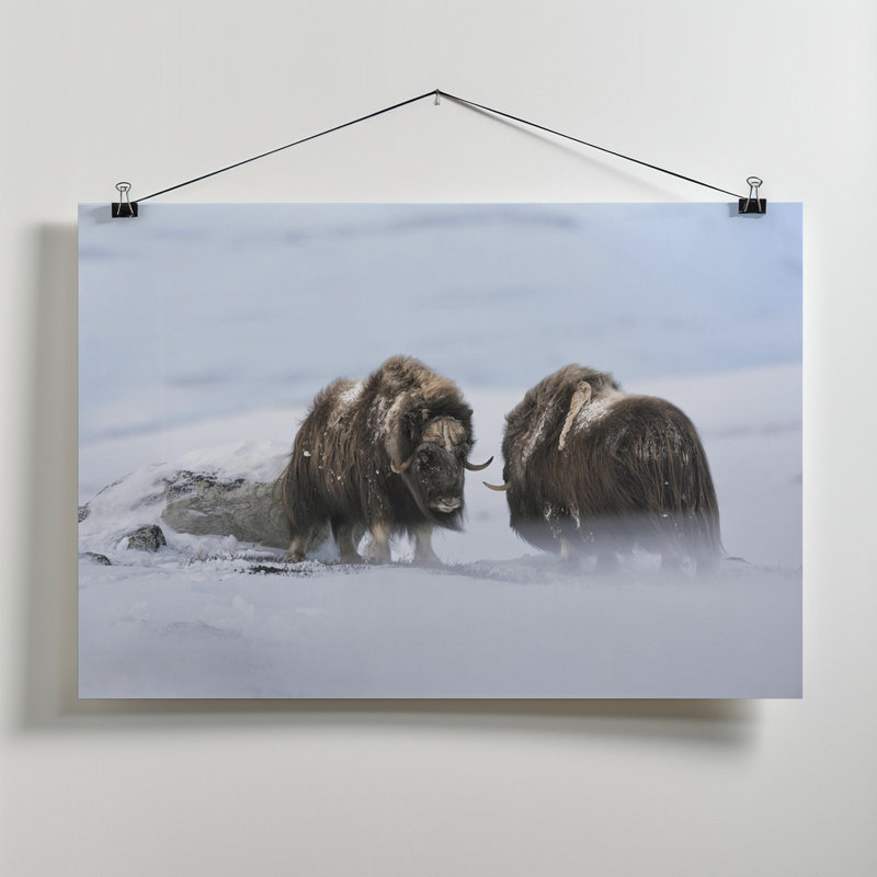 Wrapped Canvas Print, 60.96 cm H x 91.44 cm W