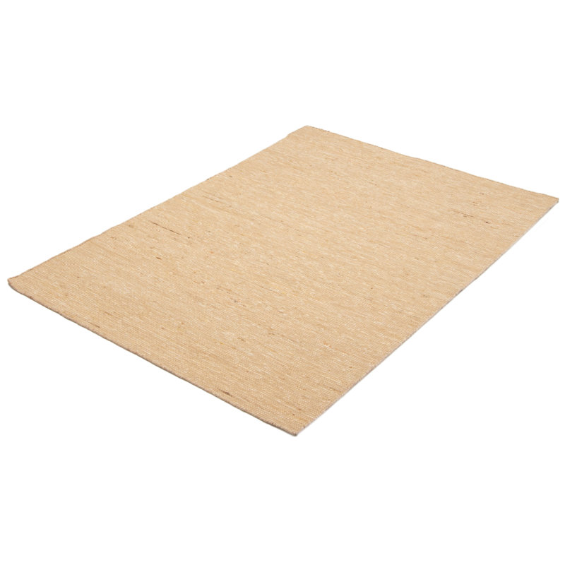 Tapis beige nouvel âge en laine rectangulaire 5 pi x 7 pi Iagulli