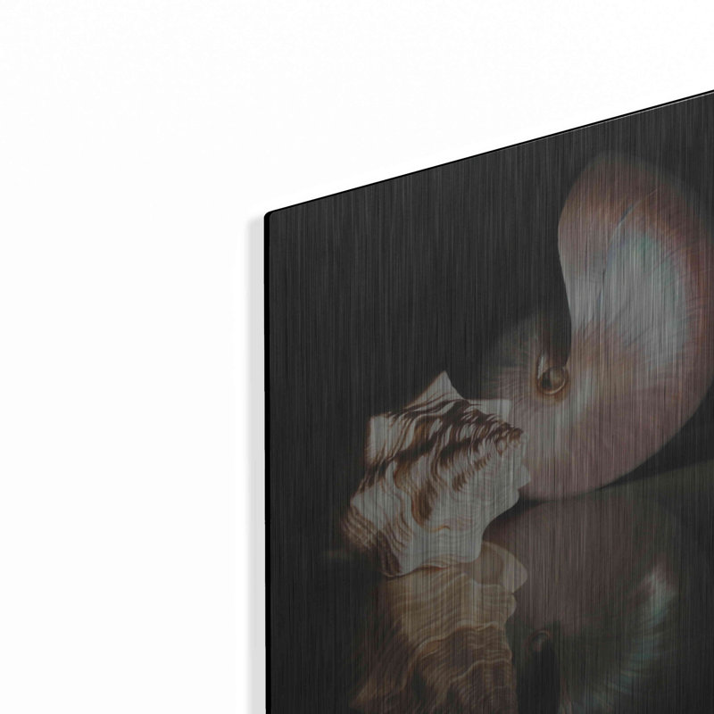 «Pearl Nautilus» par Cecile Baird, H 16 po x l 12 po