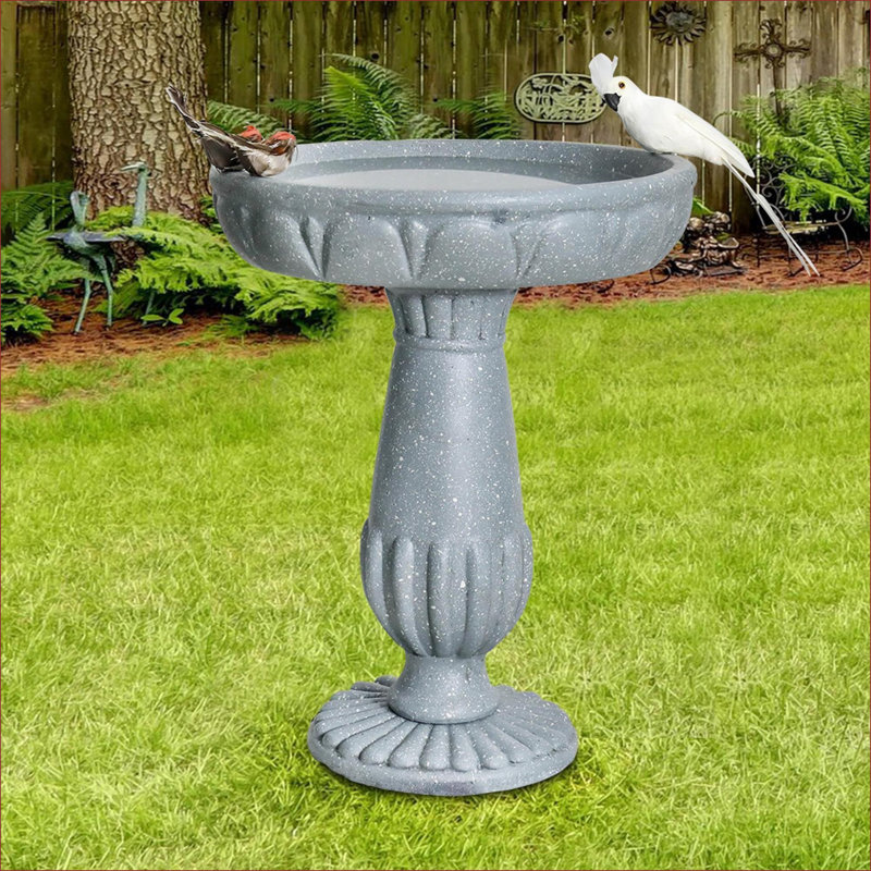 Bains d'oiseaux | Bain d'oiseaux moderne pour l'extérieur 21,2 "de hauteur pour patio | Gris ardoise | Ciment béton