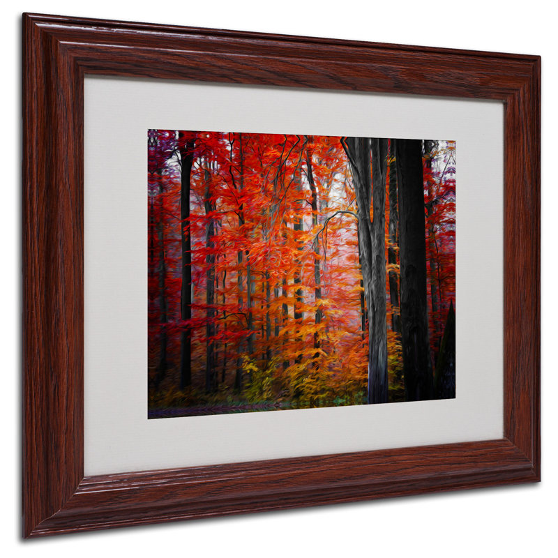 "No Title" par Philippe Sainte-Laudy, reproduction de photo encadrée, H 11 po x l 14 po x P 0,5 po, Brun