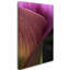 Fait partie d’un calla lily, reproduction de photo sur toile tendue-18235202