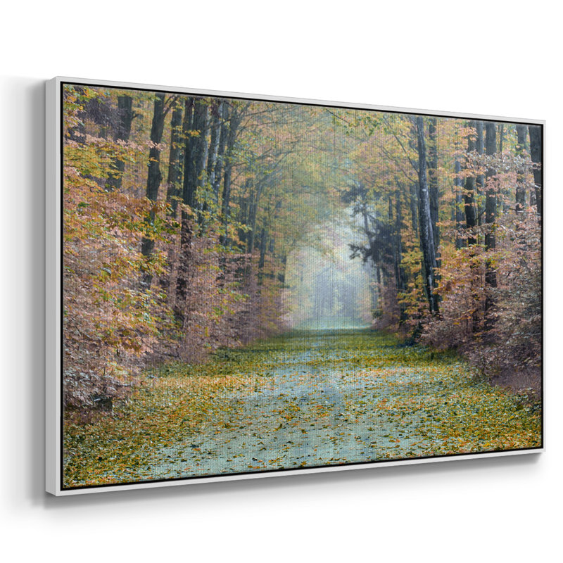 Enchanted Path, reproduction d'art sur toile, H 17 po x l 25 po x P 2 po, Blanc