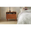 Aviannah Mid-Century Modern 2 - Drawer Nightstand With Built-In Charging Station And Legs And Open Shelf Set Of 2-935942971