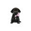 Black Labrador by Amanda Greenwood - Wrapped Canvas Painting-438563909