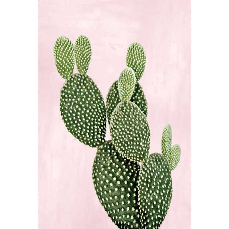 Cactus On Pink V by Mia Jensen - Wrapped Canvas Art Prints, 46cm H x 30cm W