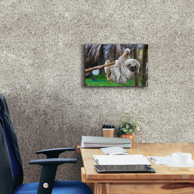 «Baby Sloth» par Epic Graffiti Portfolio, H 12 po x l 18 po x P 0,75 po