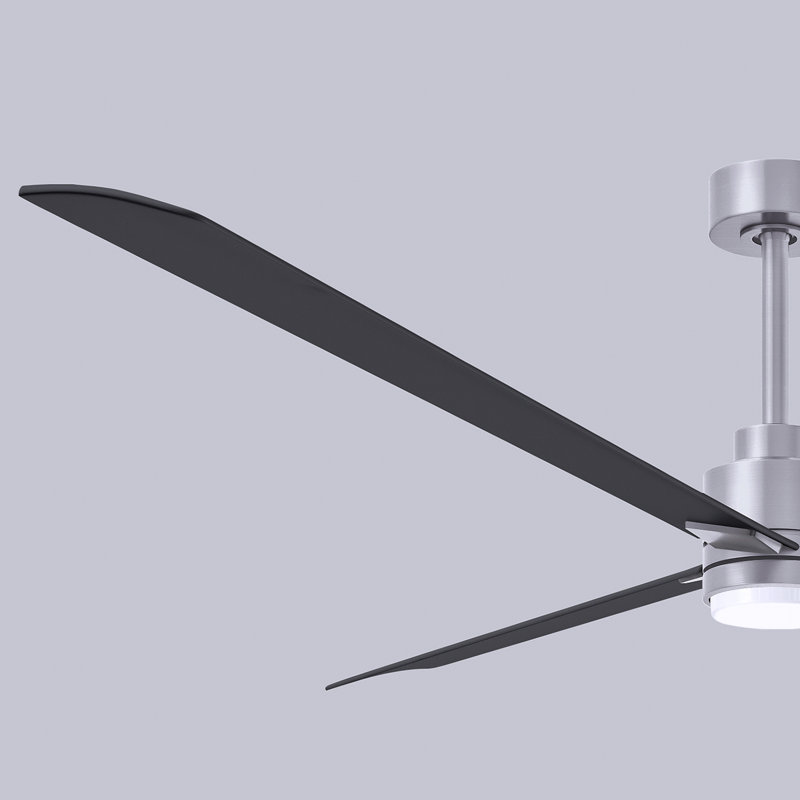 Ventilateur de plafond Alessandra, Noir mat, Nickel brossé, 72"