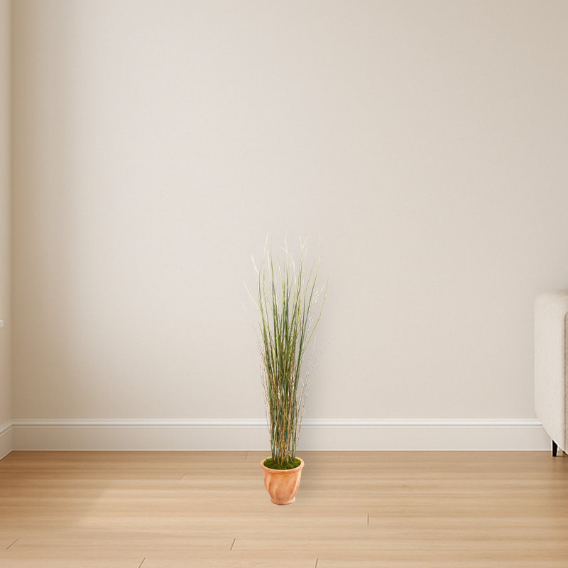 Grass and Bamboo Plant in Terra-Cotta Planter