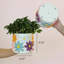Planter-55475363