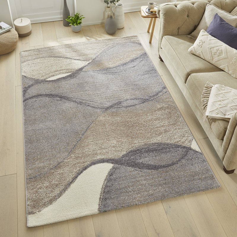 Plush Grey Beige Area Rug, Rectangle 160 x 230 cm