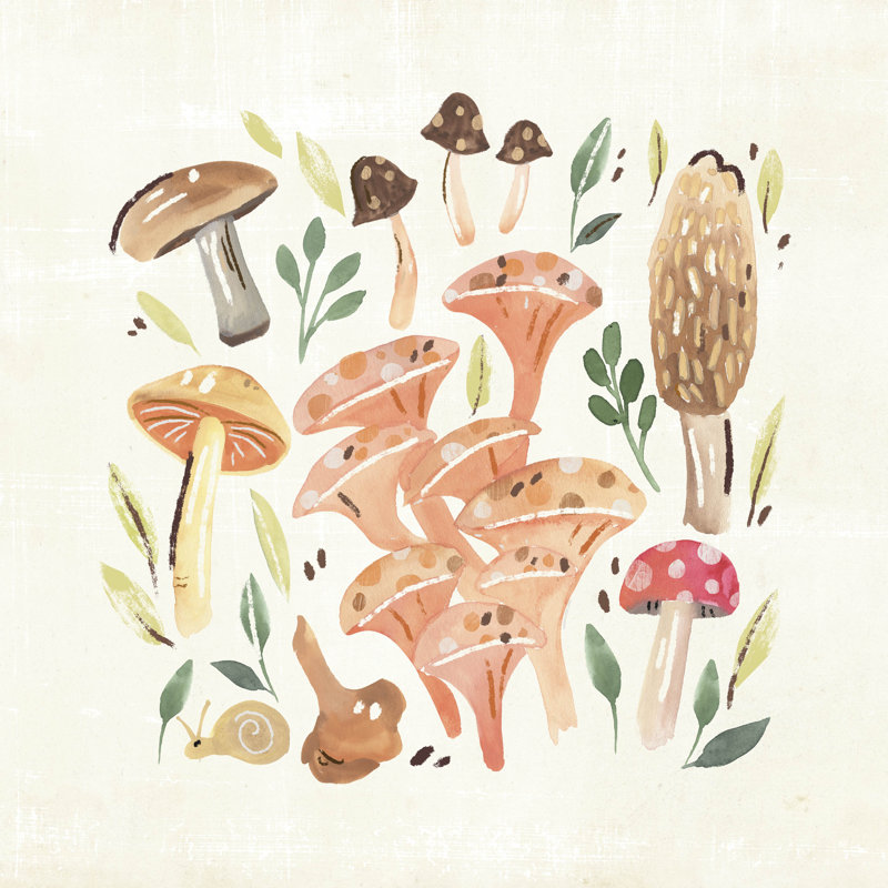 Champignon Field Trip IV, H 12 po x l 12 po