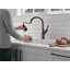 Robinet de cuisine Ophelia-64667156
