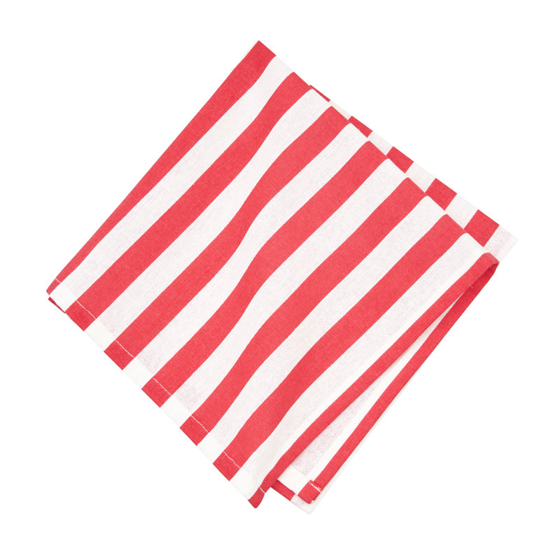 Watermelon Whimsy Cotton Napkin Machine Washable Set of 6