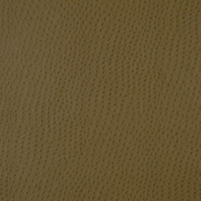 Baby Ostrich Fabric