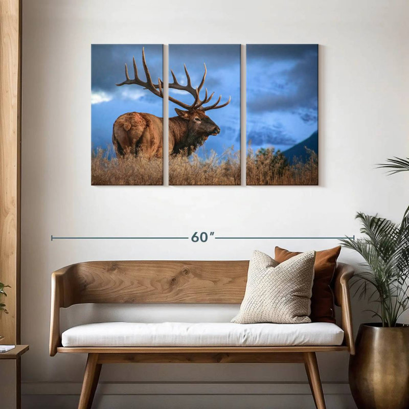 Majestic bull wapiti, H 28 po x l 45 po