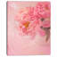Fleurs de pivoines sur fond rose - reproduction de photo sur toile tendue-19241580-33819083