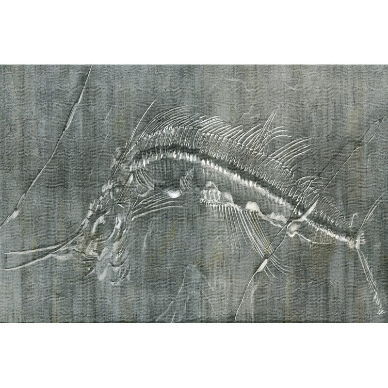 Fossil Imprint I by John Butler - Wrapped Canvas Print, 30cm H x 46cm W x 3.8cm D