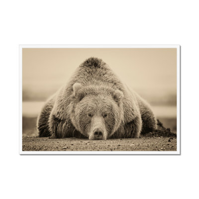 Deep Sleep by PHBurchett - Print