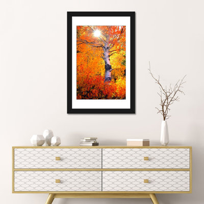 «Colorful Aspen Tree in Autumn», reproduction de photo sur toile
