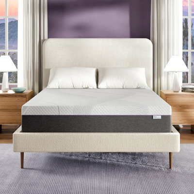 Sleep Innovations Shiloh 14 Inch Green Tea Memory Foam Mattress, California King Size, Bed in a Box, Medium Feel